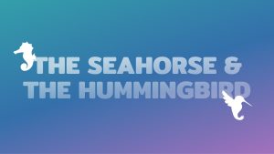 The Seahorse & The Hummingbird Social Media Banner